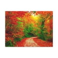 thumbnail image 2 of Colorful Trees Footpath Road Flower Canvas Wall Art for Home Decor Ready-to-Hang, 2 of 18