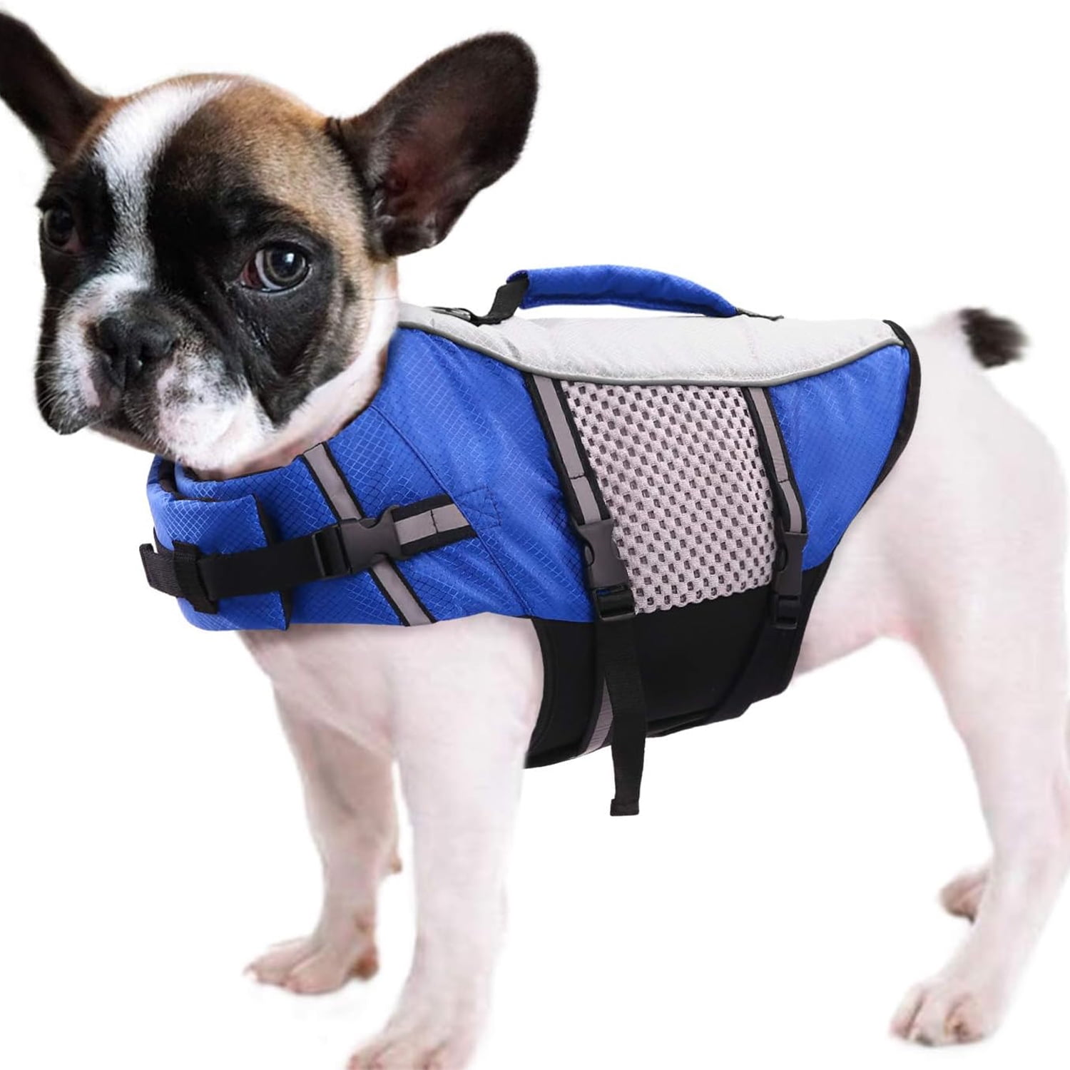 The Best Weighted Dog Vests For 2023