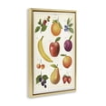 thumbnail image 2 of Stupell Industries Traditional Fruit Collection Studies Gold Floating Frame Canvas Art, 17 x 25, by Diane Neukirch, 2 of 8