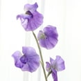 thumbnail image 3 of Simulation Pea Blossom Decorative Flower Fake Flower Ornament Home Adornment Purple, 3 of 8