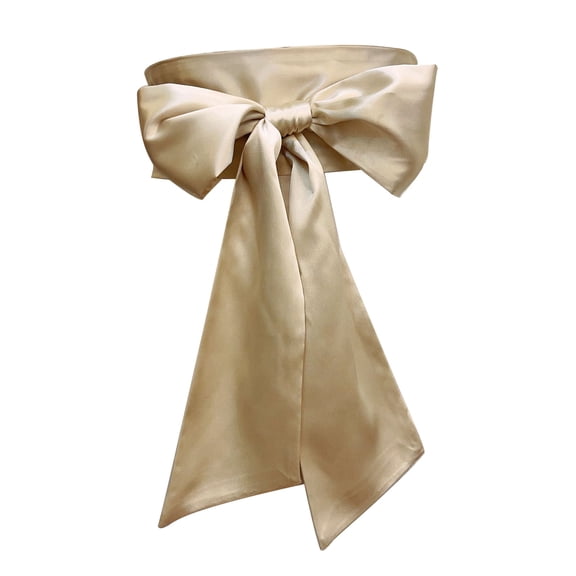 RUISINERY Ribbon Waistband Wide Belt Women's Dress Bowknot Sash Corset Belt for Weddings and Parties 250cm Long Solid Color