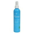 thumbnail image 1 of Hagerty Silversmiths Pump Spray Polish, 8 Oz, 1 of 2