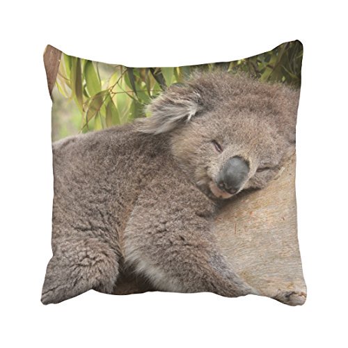 WinHome Decorative Decorative Standard Pillow Case Animals koala bear