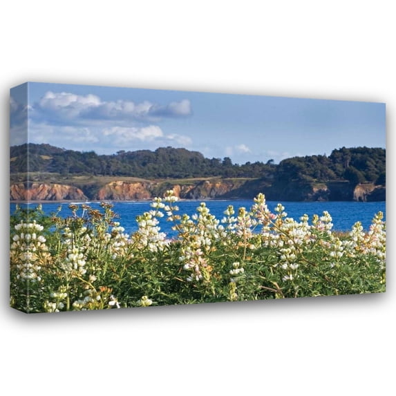 Rita Crane 24x17 Gallery Wrapped Canvas Wall Art Titled - Wild Lupine