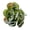 E, variant on Artificial Succulent Plants, Realistic Faux Decor for Home