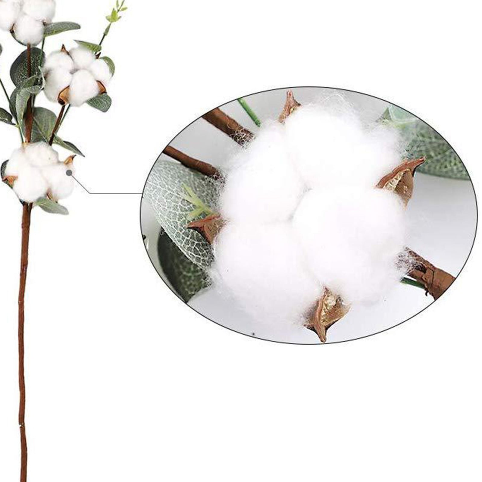 Cotton Stems Cotton Heads with Eucalyptus Leaves Home Garden Fresh Floral Decor 