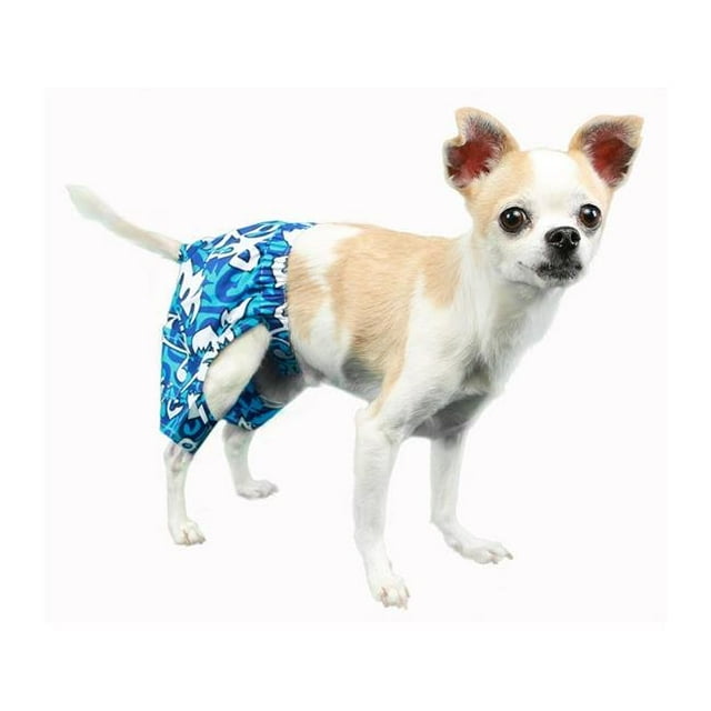 Malibu Swim Trunk, Blue - Extra Large