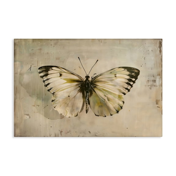 Stupell Industries Graceful Vintage Butterfly Canvas Wall Art, design by Creative Studio, 30 x 45