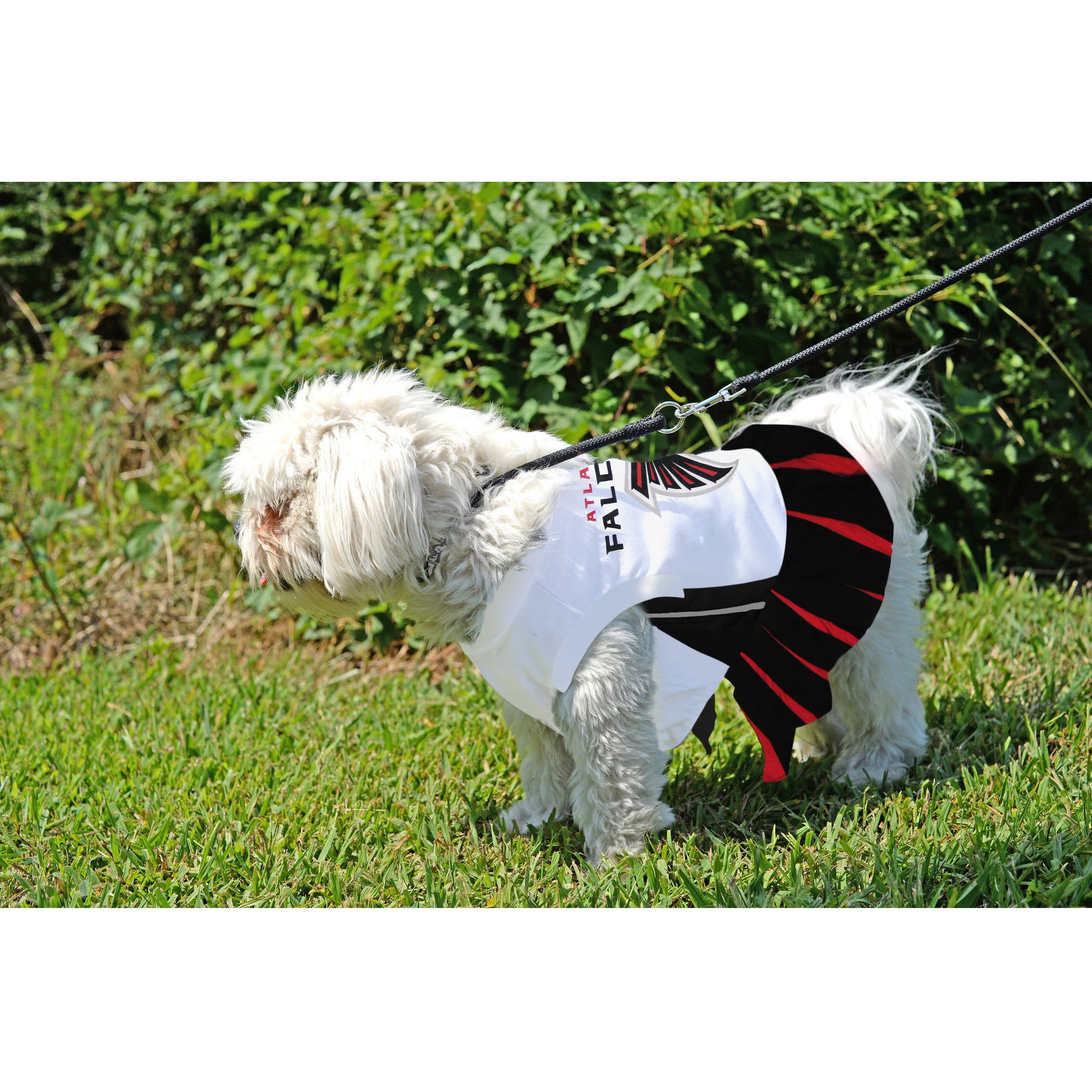 NCAA Air Force Falcons Cheerleader Dog Dress XX-Small