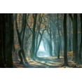 thumbnail image 2 of Borggreve, Ellen 24x17 Gold Ornate Wood Framed with Double Matting Museum Art Print Titled - Cold Light, 2 of 4