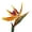 Orange, variant on Limei Artificial Bird of Paradise Flowers Rubber Strelitzia 24.8" Long Stem Flower, Suitable for DIY Home Decor Party Theme Display