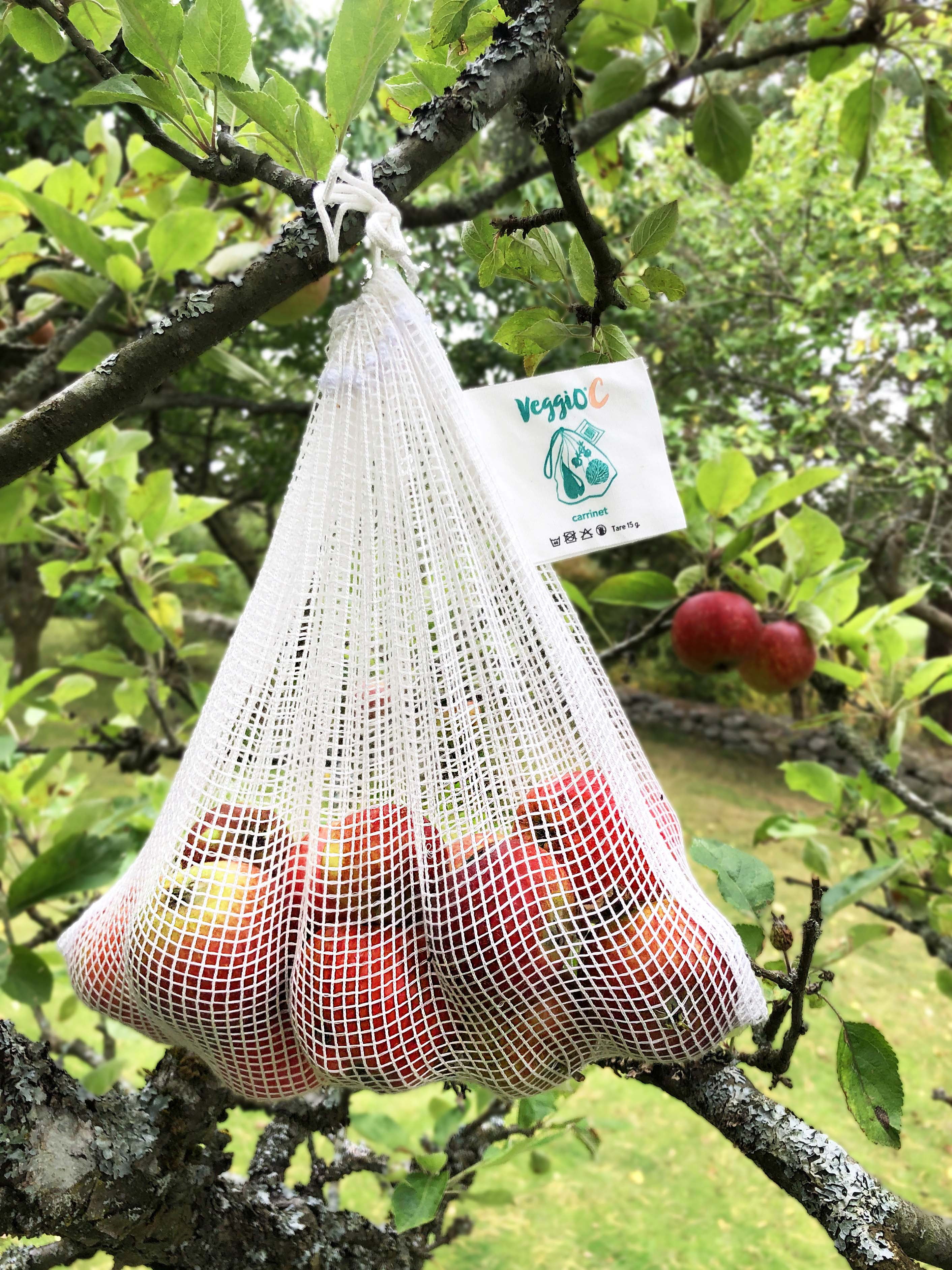 Veggio C 3 Pack Cellulose Fruit Bag 100 Natural Fibre Strong and Durable Design Compostable Material Carrinet Walmart