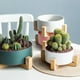 thumbnail image 4 of Labymos Maceta para plantas suculentas con soporte,, 4 of 8