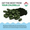 thumbnail image 4 of Sun Chlorella Chlorella Tablets, 500 Mg, 120 Ct, 4 of 9
