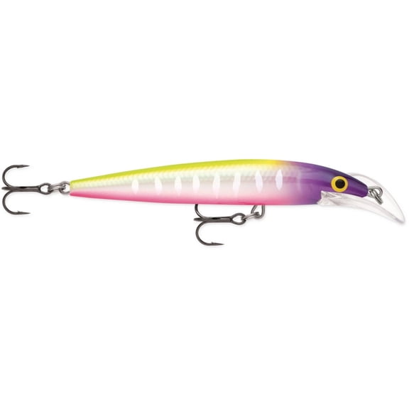 Rapala Scatter Rap Deep Husky Jerk 10 Moldy Fruit Fishing Lure