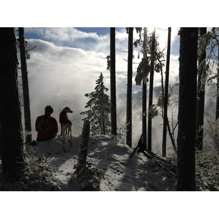 Canvas Print Man's Best Friend Forest Winter Hiking Hiking Stretched Canvas 10 x