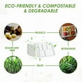 thumbnail image 4 of EcoNesxp 6 Inch Disposable School Lunch Tray Grid Plates 12 100 Compostable, 4 of 5