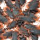 thumbnail image 2 of 50 piezas de cucarachas falsas de broma, juguetes de broma de plástico de apariencia real, insectos aterradores, bichos realistas, regalos de broma, cucaracha novedosa para fiesta de Halloween, 2 of 5