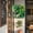 B, variant on Greenery Backdrop Privacy ScreenArtificial Grass Wall Panels Boxwood Hedge Green Wall Decor with Various Styles for Indoor Home Wedding Birthday Decor Outdoor Patio (E)