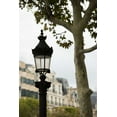 thumbnail image 2 of Berzel, Erin 17x24 White Modern Wood Framed Museum Art Print Titled - Parisian Lightposts II, 2 of 4