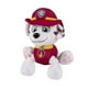 thumbnail image 1 of Paw Patrol Peluches Pup Pals, Marshall, 1 of 3