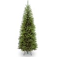 thumbnail image 1 of 6 ft. Kingswood Fir Pencil Tree, 1 of 1