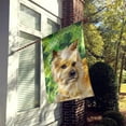 thumbnail image 2 of Carolines Treasures BB9864CHF Cairn Terrier St Patricks Flag Canvas House Size  Large multicolor, 2 of 4