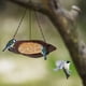 thumbnail image 5 of Bandeja colgante de comedero para pájaros de malla fina - comedero metálico de gran capacidad con cadena ajustable, resistente al óxido para jardín y jardín, 5 of 5