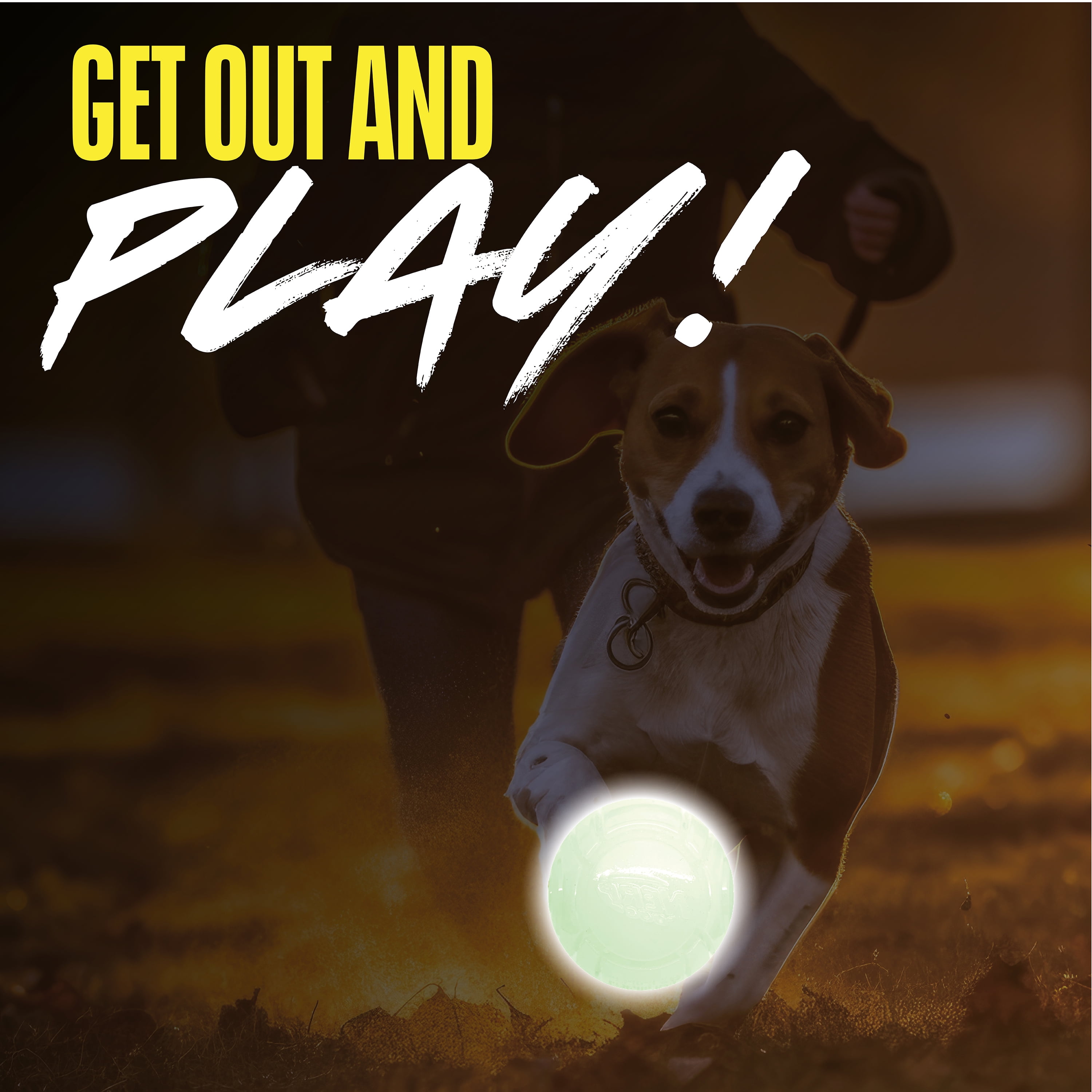 (4 pack) Nerf Dog Light Up & Glow Ball