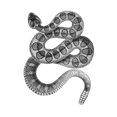 thumbnail image 3 of CafePress - Rattlesnake Dark T Shirt - Men's Classic Cotton T-Shirts, 3 of 3