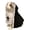 B, variant on Lilixerw Halloween Pet Costume,Funny Nun Costume for Cats & Small Dogs,Cute Cosplay Dress for Holiday Parties&Photos,13 x 14 inch