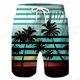 thumbnail image 1 of Pantalones cortos de natación para hombre, Shorts de playa para tabla de surf 3d de Coconut Tree, ropa deportiva para niño Fivean unisex, 1 of 2