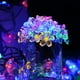 thumbnail image 5 of Cadena de luces solares, 50 LED - Para uso en exteriores, hogar, césped, bodas, patios, fiestas y vacaciones - Multicolor…, 5 of 5