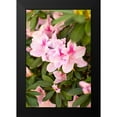 thumbnail image 2 of Karyn Millet 13x18 Black Modern Wood Framed Wall Art Titled - Pink Rhody I, 2 of 5