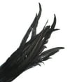 thumbnail image 5 of Uxcell 16-18 Inch Rooster Feathers, 10 Pack Bulk Natural Feathers for Crafts Style 1, Black, 5 of 6