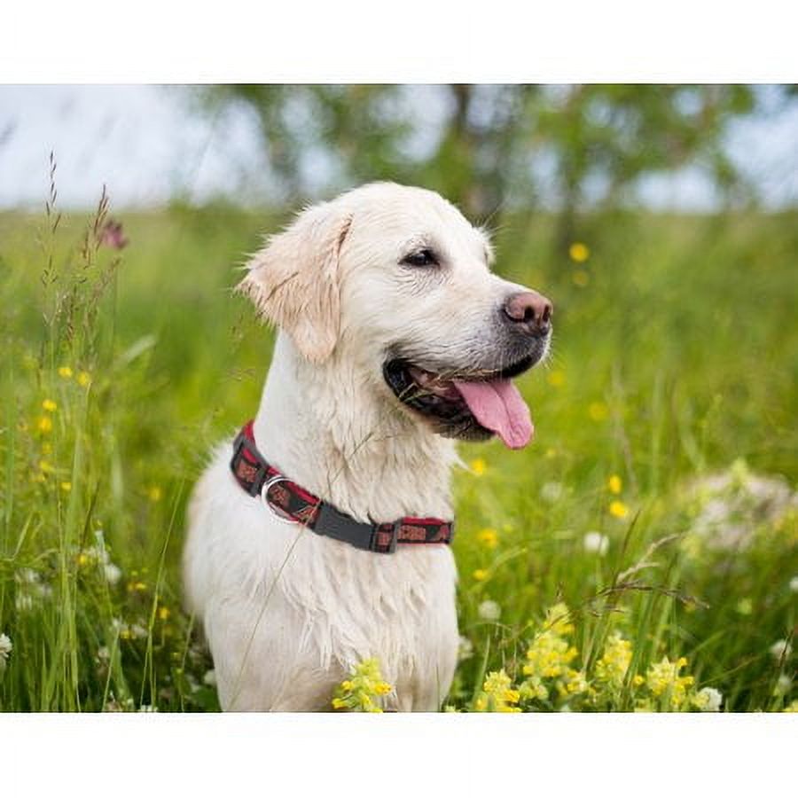Arizona Diamondbacks Pet Collar By Pets First - Small