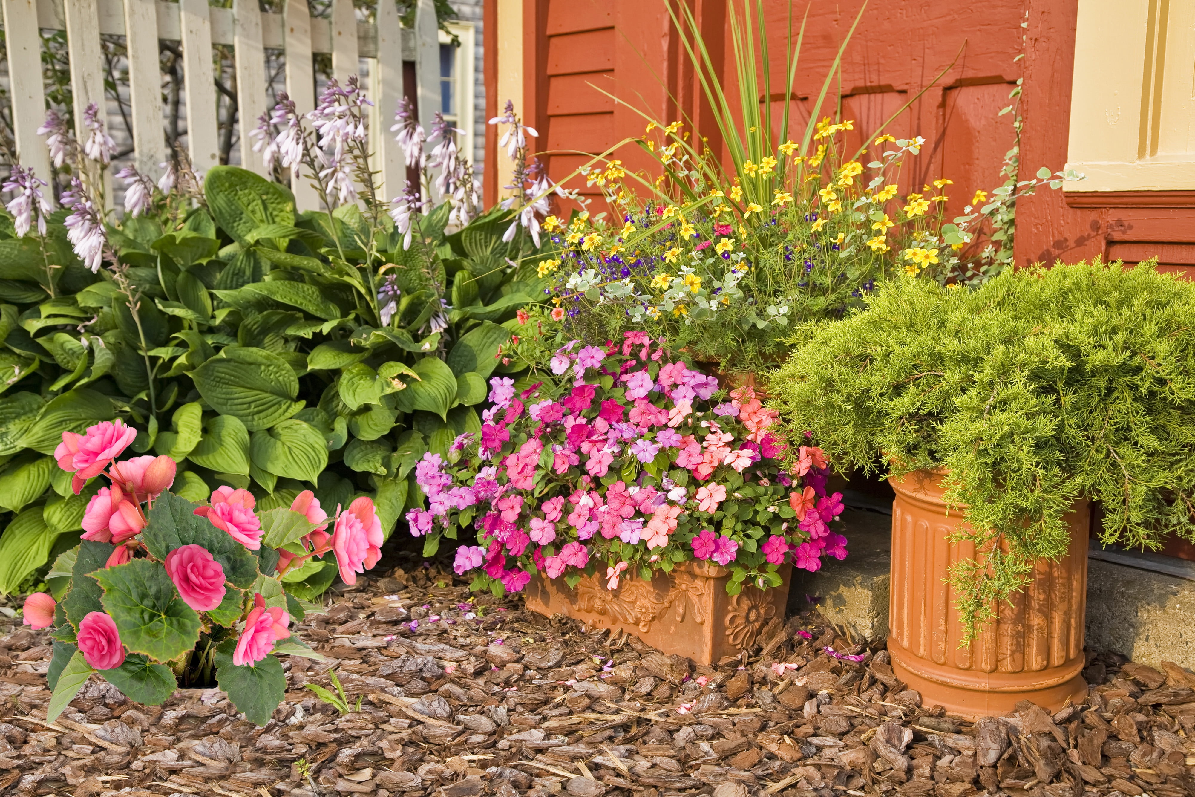 Expert Gardener 1 Gallon Premium Full Sun Mixed Annual Flowering Planter, Terracotta