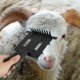 thumbnail image 2 of ColoMX Raspador de pelo de ganado, cepillo de Metal para ganado, cepillo de aseo para vacas, herramienta de aseo para ganado, 2 of 8