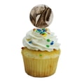 thumbnail image 5 of Horses Vintage Sepia Tone Cupcake Picks Toppers Decoration Set of 6, 5 of 7