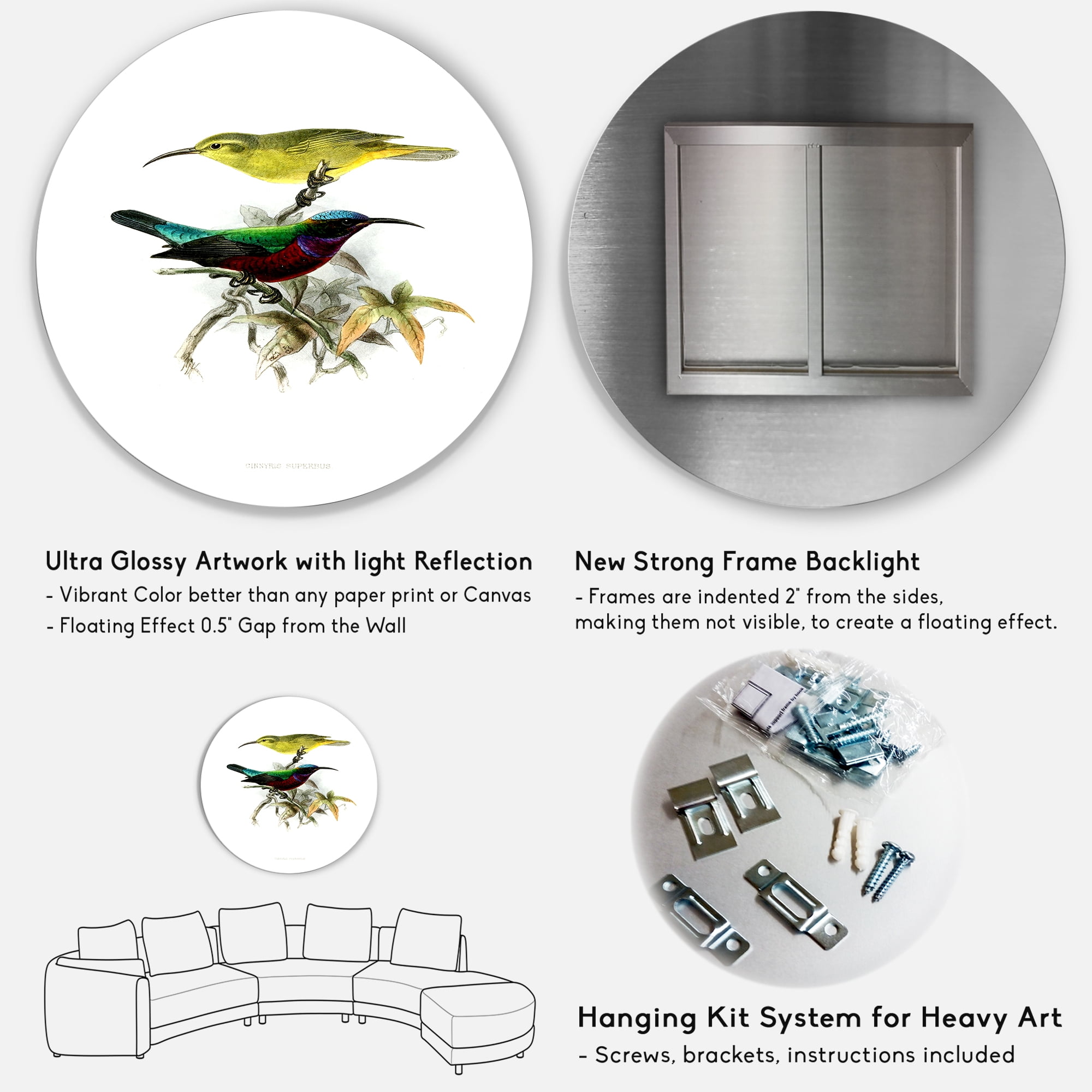 Designart 'Ancient Australian Birds XV' Traditional Circle Metal Wall Art 29x29 - Disc of 29