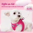 thumbnail image 2 of Juego de arneses para perros Rabbitgoo Step-In Small con correa, color rojo rosado, 2 of 8