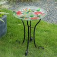 thumbnail image 1 of Luxen Home Hummingbird Bird Glass Bath with Metal Stand, 1 of 1