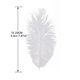 thumbnail image 3 of 10 plumas de avestruz esponjosas para fiestas de bodas, plumas de 15 a 30 cm (blanco), 3 of 5