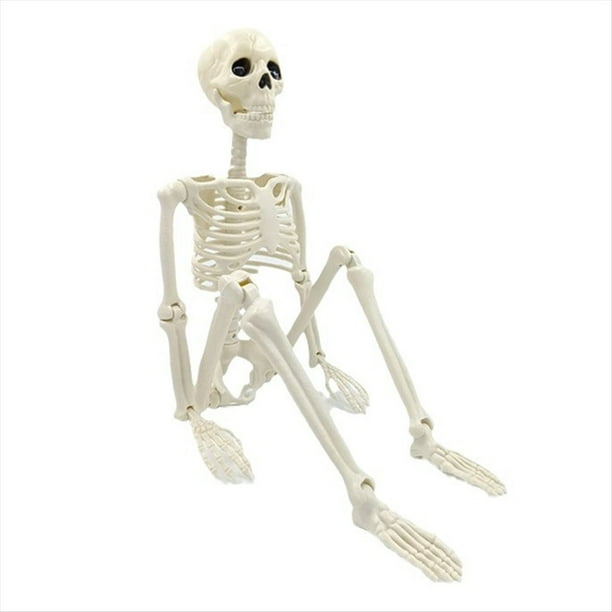 Decoración de Esqueleto de Halloween, Esqueleto Articulado de Cuerpo Completo con Articulaciones Móviles, Accesorio Espeluznante para Patio, Jardín, Césped, Patio