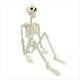 thumbnail image 1 of Decoración de Esqueleto de Halloween, Esqueleto Articulado de Cuerpo Completo con Articulaciones Móviles, Accesorio Espeluznante para Patio, Jardín, Césped, Patio, 1 of 5
