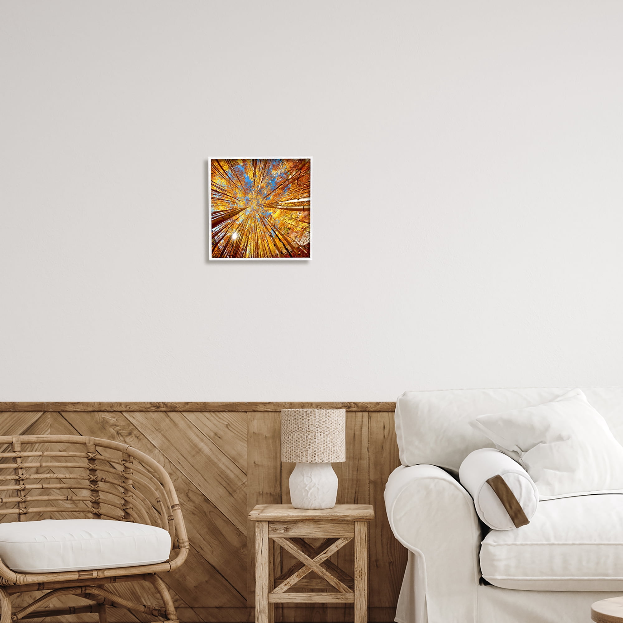 Stupell Industries Colorado Autumn Trees Nature Photography White Framed Art Print Wall Art, 12 x 12