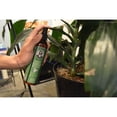 thumbnail image 4 of Grandpa Guss GCC-8-15 Potent Squirrel & Chipmunk Repellent, Water-Based Peppermint/Cinnamon Oil Mix Spray Protects Home, Garden and Wirings, Non-Toxic, Safe To Use Around Kids & Pets, 8oz Bottle, 4 of 5