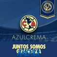 thumbnail image 5 of Portería De Futbol Plegable, 76x43 Cm - Club América, 5 of 5