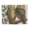 thumbnail image 5 of Orinice Owls Branch Tapestry Wall Hanging Unique Style Graphic Tapestries Home Wall Decor Art for Living Room Bedroom Apartment Farmhouse Dorm 50x40inch, 5 of 6