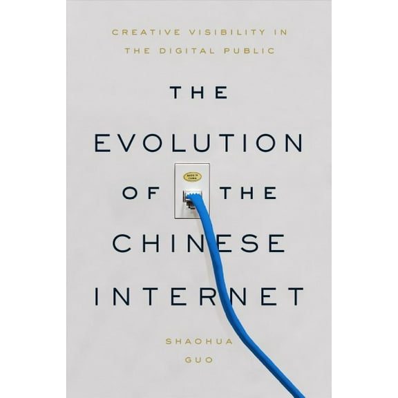 The Evolution of the Chinese Internet (Paperback)